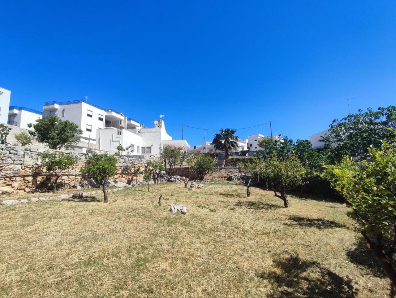 Oasi Διαμέρισμα Polignano a Mare Εξωτερικό φωτογραφία